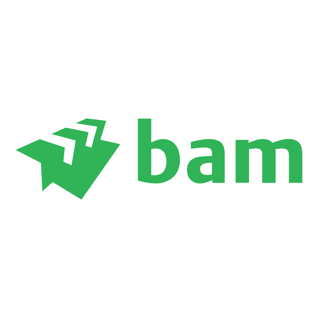 Royal BAM Group Logo PNG Transparent